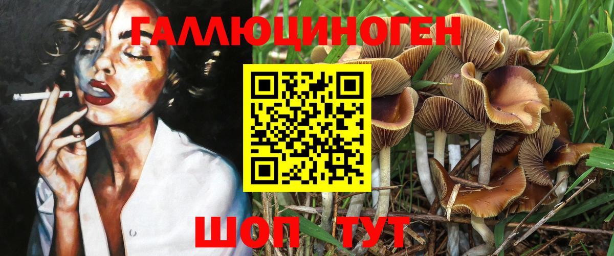 Псилоцибиновые грибы мухоморы  Галлюциногенные грибы мицелий  Славянск-на-Кубани  Вход с VPN 