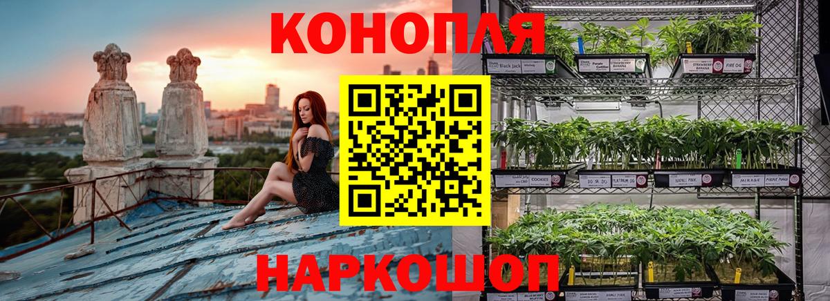 Марихуана план  Шишки марихуана White Widow  Бошки марихуана тримм  Вход с VPN  Славянск-на-Кубани  Конопля SATIVA & INDICA 